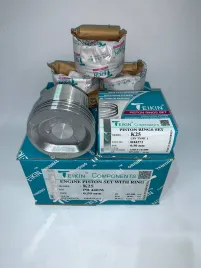 Комплект поршней с кольцами K25 +0.50
