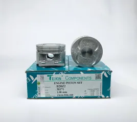 Комплект поршней B20Z2