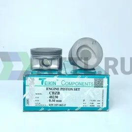 Комплект поршней CBZB