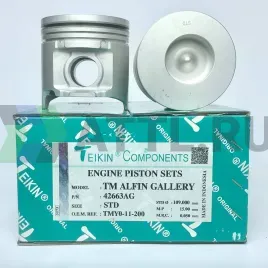 Комплект поршней TM
