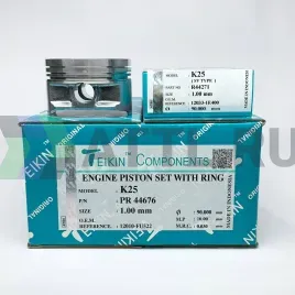 Комплект поршней с кольцами K25 +1.00