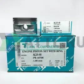 Комплект поршней с кольцами K25-II +1.00
