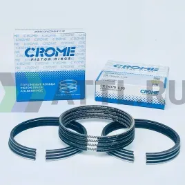 Комплект поршневых колец на 4 цил. +100 2L