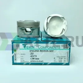 Комплект поршней Z5