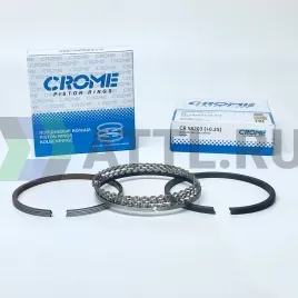 Комплект поршневых колец на 4 цил. +025 QR25DE