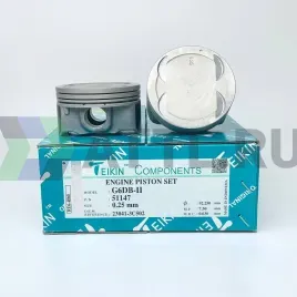Комплект поршней G6DB-II
