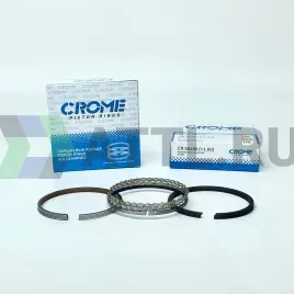 Комплект поршневых колец на 4 цил. +100 QG18DE