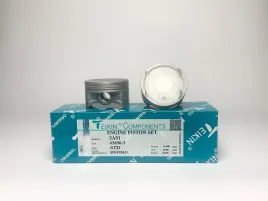 Комплект поршней 3A91