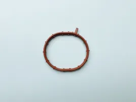 Прокладка коллектора - впуск (резиновая)