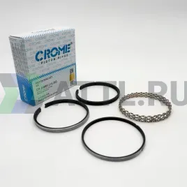 Комплект поршневых колец на 4 цил. +100 G15MF