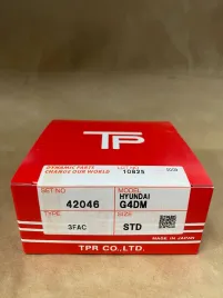 Поршневые кольца GG4DM