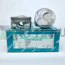 Комплект поршней G6DG