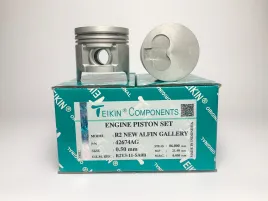 Комплект поршней R2 NEW