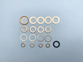 Комплект шайб топливной форсунки 