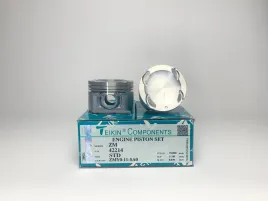 Комплект поршней ZM