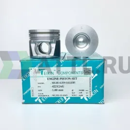 Комплект поршней MZ-DE