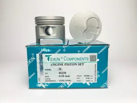 Комплект поршней 3L