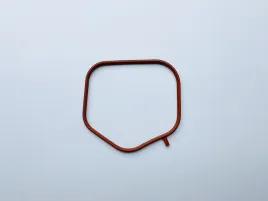 Прокладка коллектора - впуск (боковая)