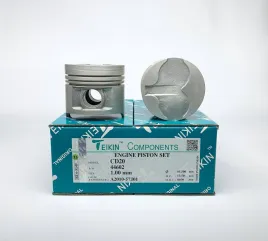 Комплект поршней CD20