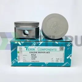 Комплект поршней EGJ