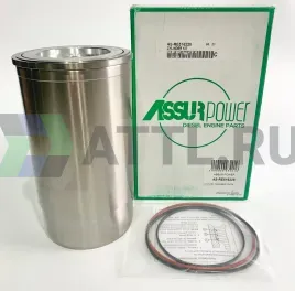 Цилиндро-поршневая группа