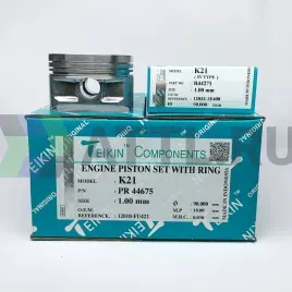 Комплект поршней с кольцами K21 +1.00