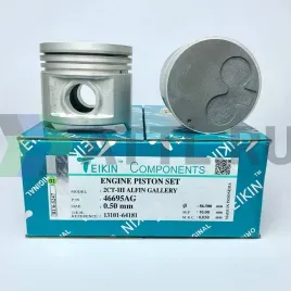 Комплект поршней 2CT-III