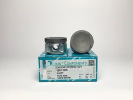 Комплект поршней QG15DE
