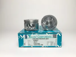 Комплект поршней B20Z2