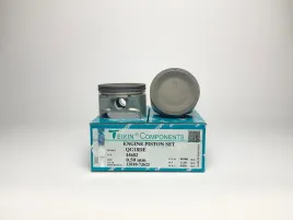 Комплект поршней QG18DE