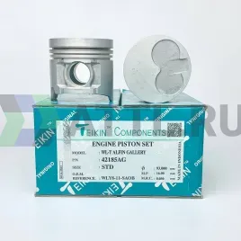 Комплект поршней WL-T