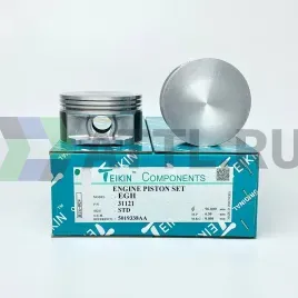 Комплект поршней EGH