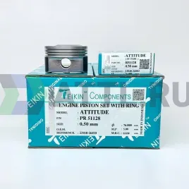 Комплект поршней c кольцами G4EE