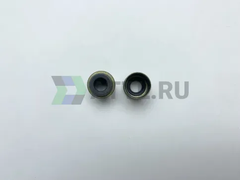 Колпачок маслосъёмный = 13207-V1700 фото 1