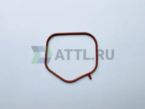 Прокладка коллектора - впуск (боковая) фото 1