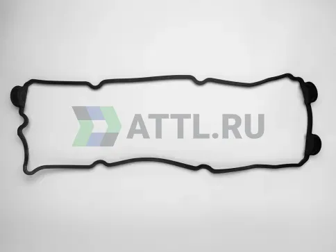 Прокладка КК основная фото 1