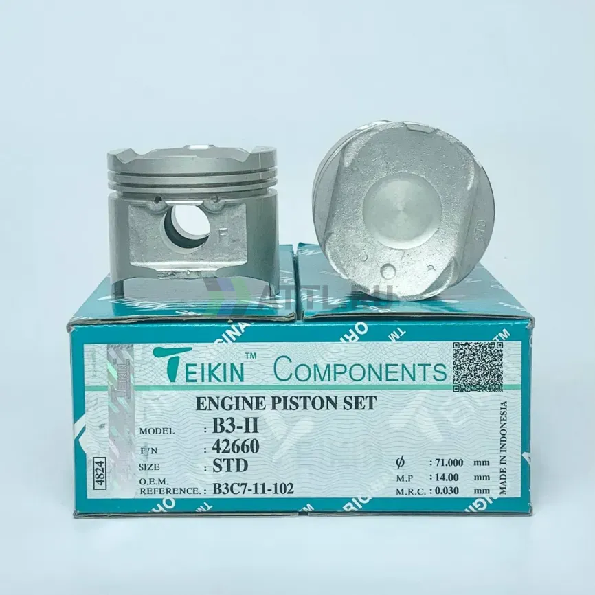 Комплект поршней B3-II фото 1