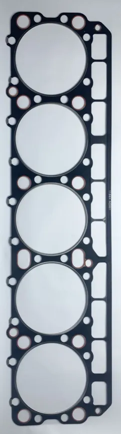 Прокладка ГБЦ RG10 (HG798-SNA) фото 1