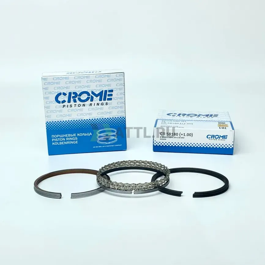 Комплект поршневых колец на 4 цил. +100 QG18DE фото 1