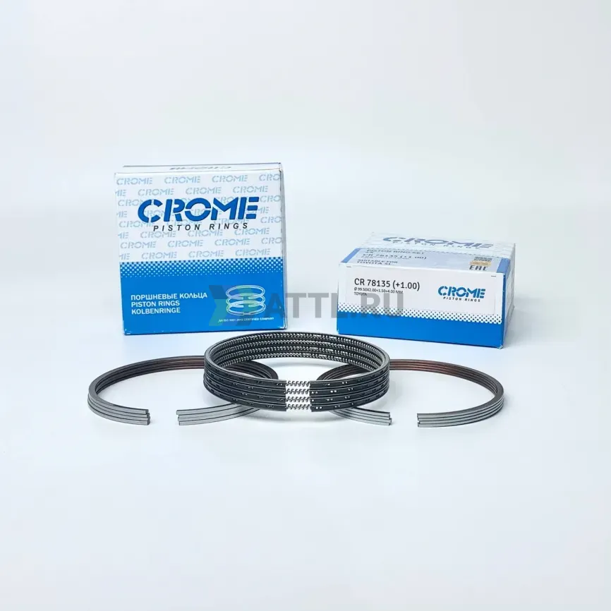 Комплект поршневых колец на 4 цил. +100 5L фото 1