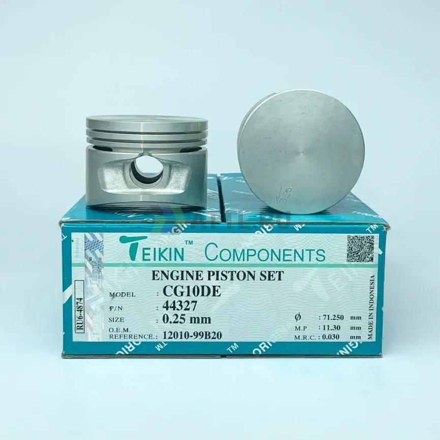 Комплект поршней CG10DE фото 1
