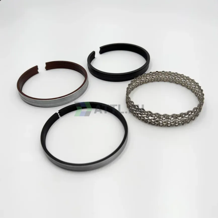 Комплект поршневых колец на 8 цил. STD 4.0L,4.7L фото 2