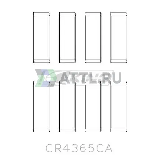 Вкладыши шатунные STD фото 2