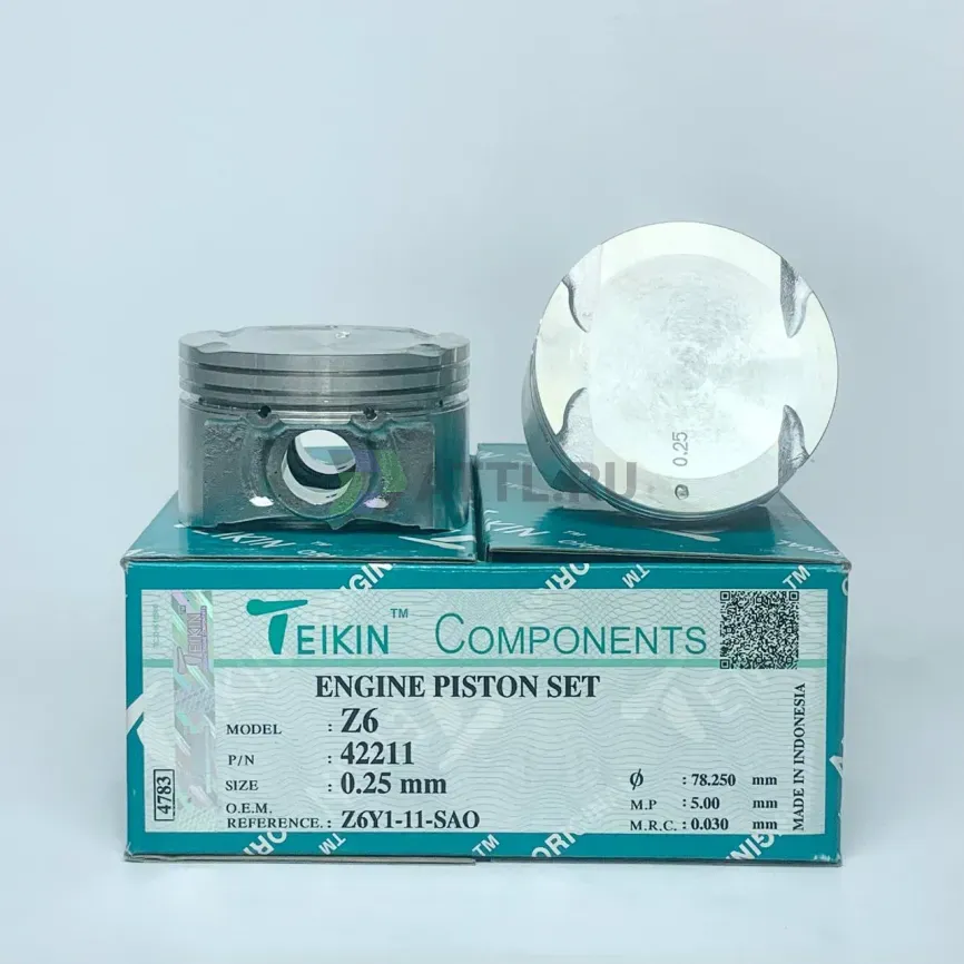 Комплект поршней Z6 фото 1