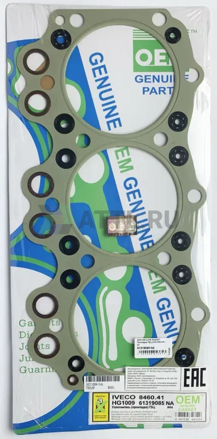 Прокладка ГБЦ (HG1009-NA) фото 1