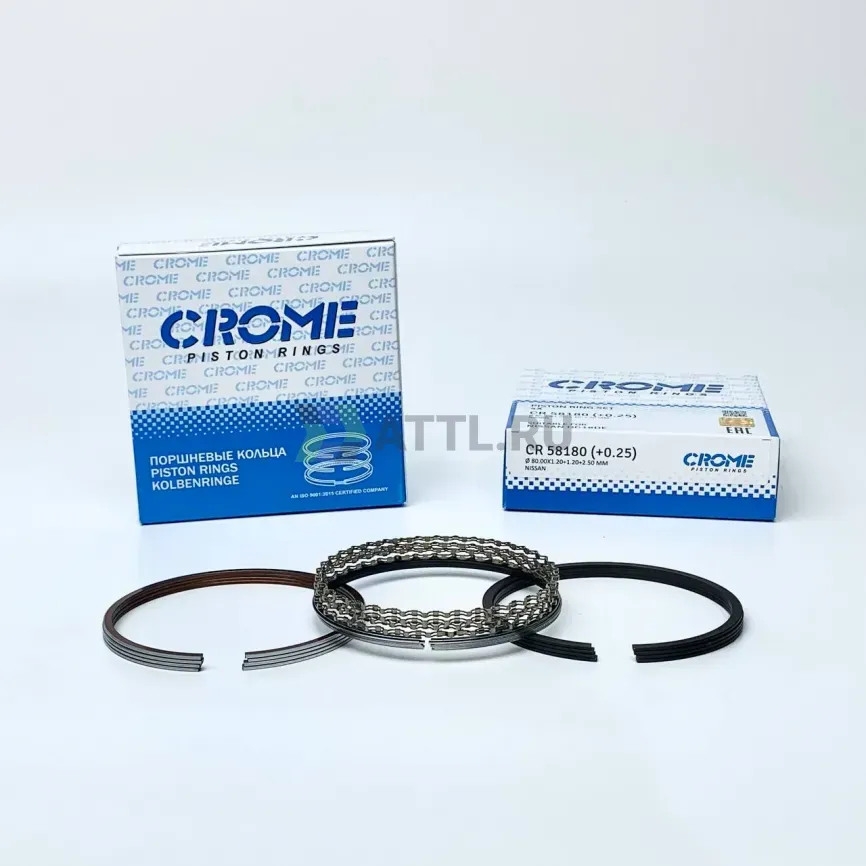 Комплект поршневых колец на 4 цил. +025 QG18DE фото 1