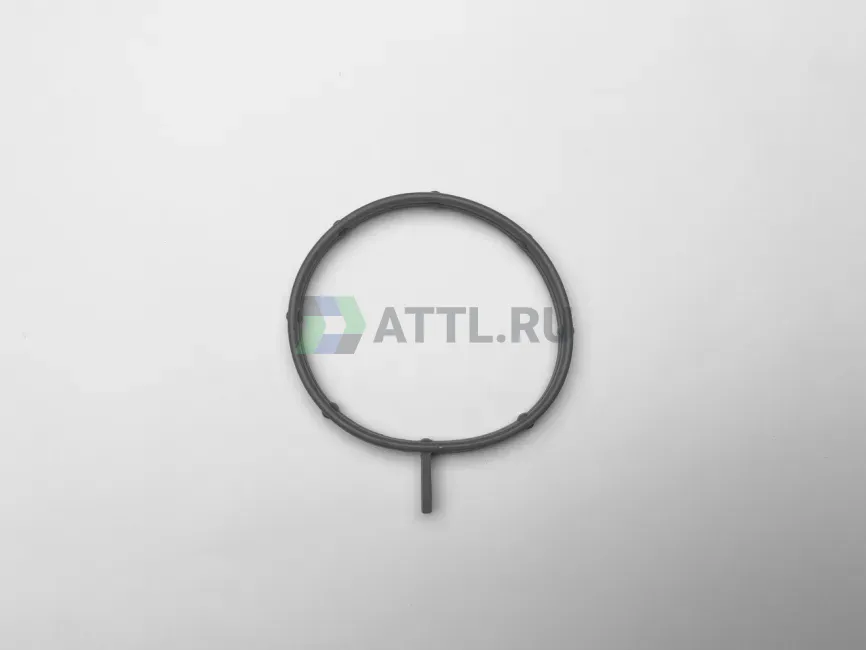 Прокладка дроссельной заслонки фото 1