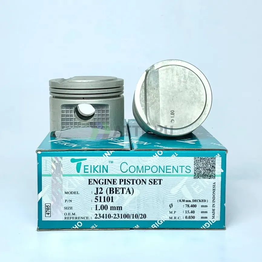 Комплект поршней J2 фото 1